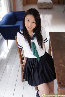 四级照门